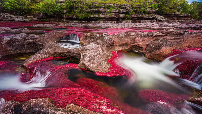 Caño Cristales wallpaper, Colombia, River of five colors