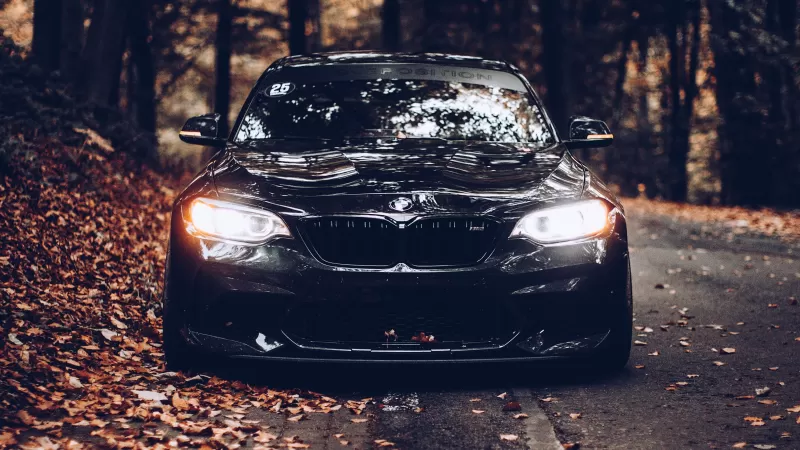 BMW, Black cars, Cinematic, Autumn, Foliage, Road, Tarmac