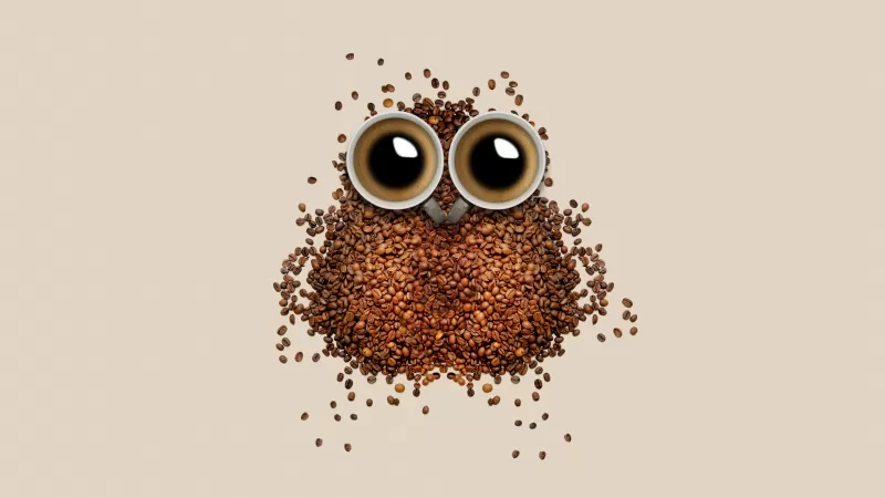 Coffee beans 8K, Owl, Coffee cup, Brown, Drinks, Caffeine, Beautiful, 5K, 8K