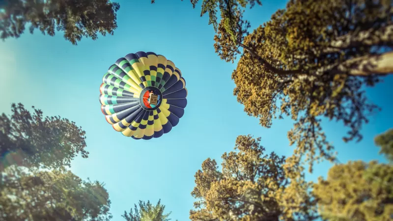 Hot air balloon, Sequoia National Park, California, Woods, Tall Trees, Looking up at Sky, Blue Sky, 5K