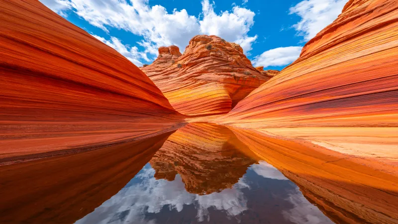 The Wave sandstone wallpaper, Arizona, Rock reflections