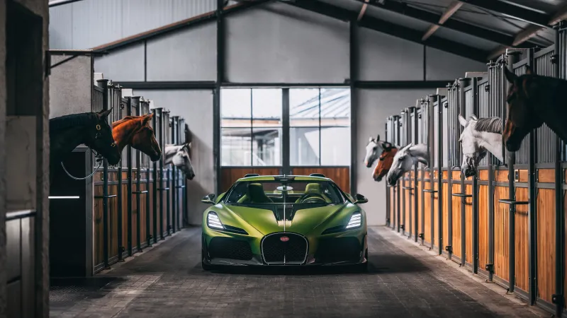 Bugatti Brouillard inspired by Ettore Bugatti's horse