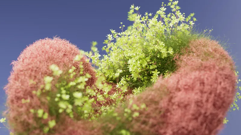 Macro Bloom, Floral Background Wallpaper, 5K