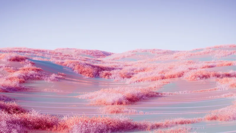 Pink grass dunes wallpaper, Microsoft Design, Pastel landscape