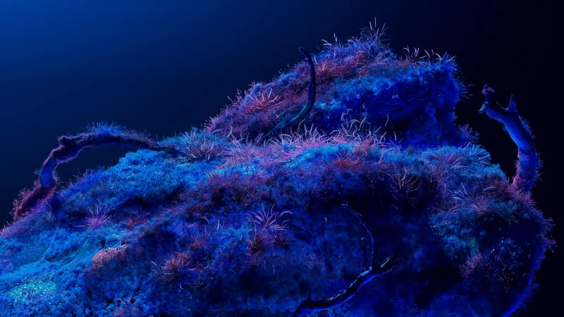 Bioluminescence, Neon Art, Dreamy Cosmos Wallpaper