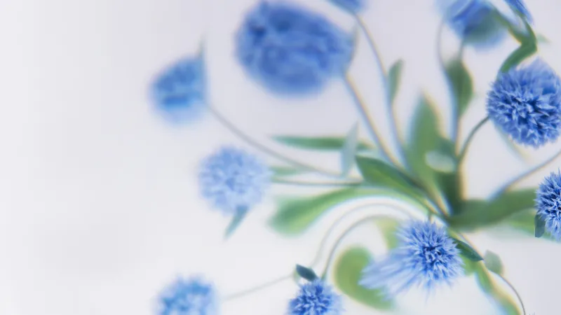 Blue flowers in soft focus, Microsoft Design, White background, 4K wallpaper
