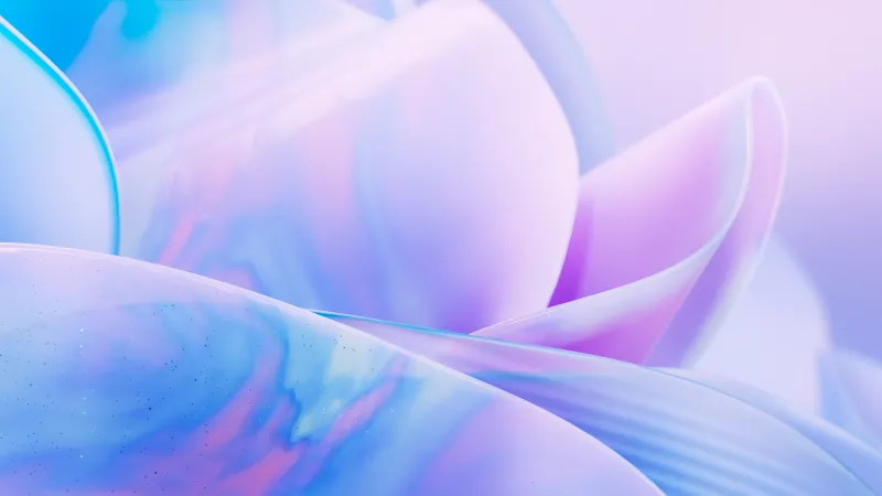 Lavender glass petals wallpaper, Translucent bloom, Microsoft Design