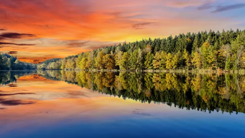 Forest, Trees, Sunset, Orange sky, Mirror Lake, Body of Water, Reflection, Landscape, Scenery, Afterglow, 5K