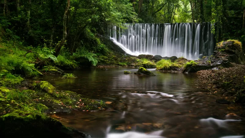 Mazo De Meredo, Waterfalls, Spain, Long exposure, Water Stream, Forest Trees, Greenery, Landscape, Moss