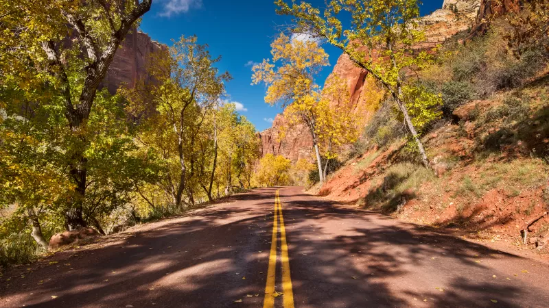 Zion National Park road, Autumn trees, Red cliffs, 4K wallpaper