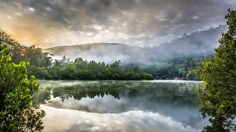 Berowra Creek wallpaper, Misty morning, Australia