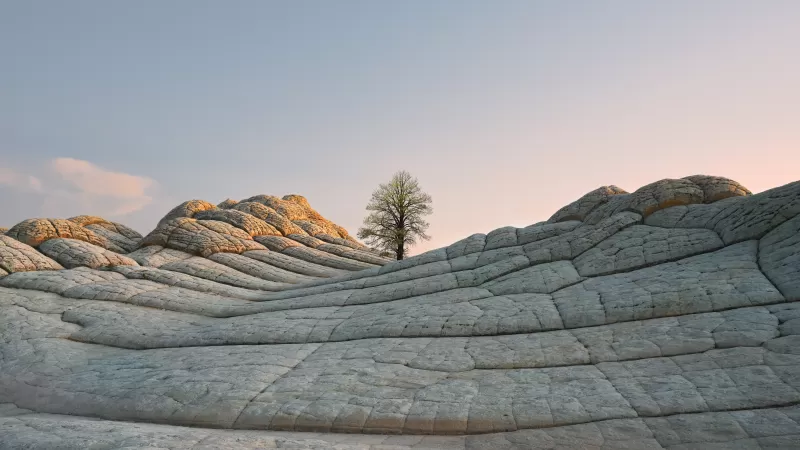macOS Big Sur, Stock, Daytime, Lone tree, Sedimentary rocks, Daylight, iOS 14, 5K