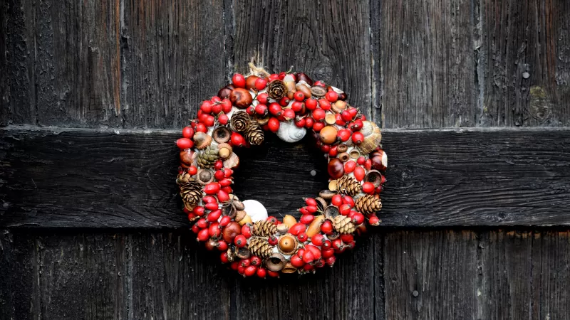 Christmas decoration, Garland, Fruits, Wooden background, Happy holidays, Pine cones, 5K, Aesthetic Christmas