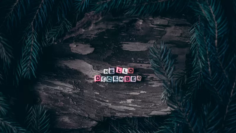 Hello December, Dice, Assorted, Wooden background, Pine branches, Christmas decoration, Letters, 5K wallpaper