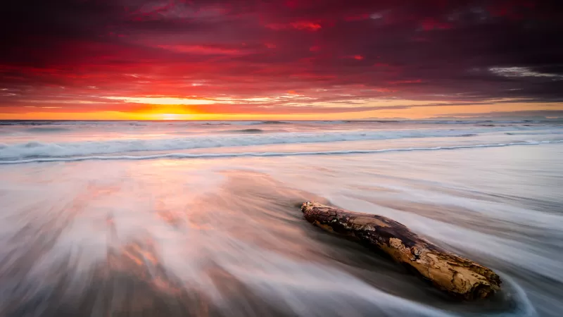 Leithfield Beach, New Zealand, Sunrise, Orange sky, Seascape, Waves, Coastal, Cloudy Sky, Long exposure, Stump, 5K