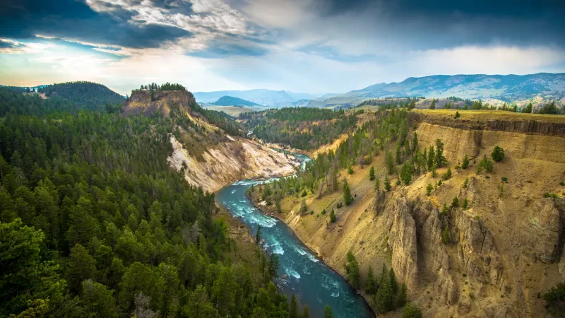 Grand Canyon of the Yellowstone wallpaper, Yellowstone River, Wyoming