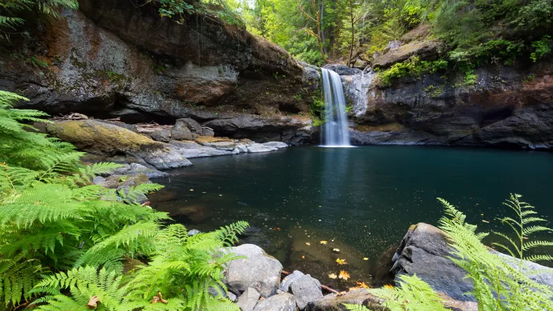 Coquille River Falls, Oregon, Waterfalls, Forest, Landscape, Green Trees, Ferns, Body of Water, Water Stream, Long exposure, 5K