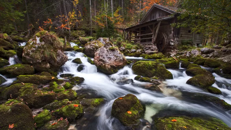 Gollinger Mill, Austria, Waterfalls, Rocks, Long exposure, Green Moss, Forest, Tall Trees, Woods, Landscape, Scenery, Flowing Water
