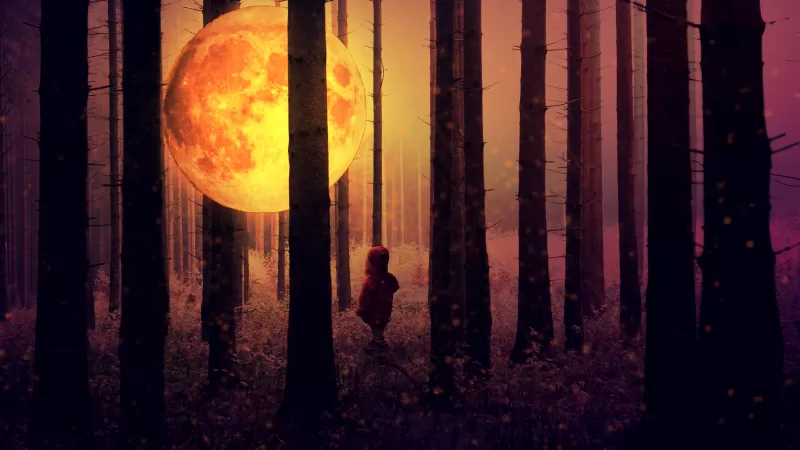Giant moon wallpaper, Child in dark forest, Surreal fantasy