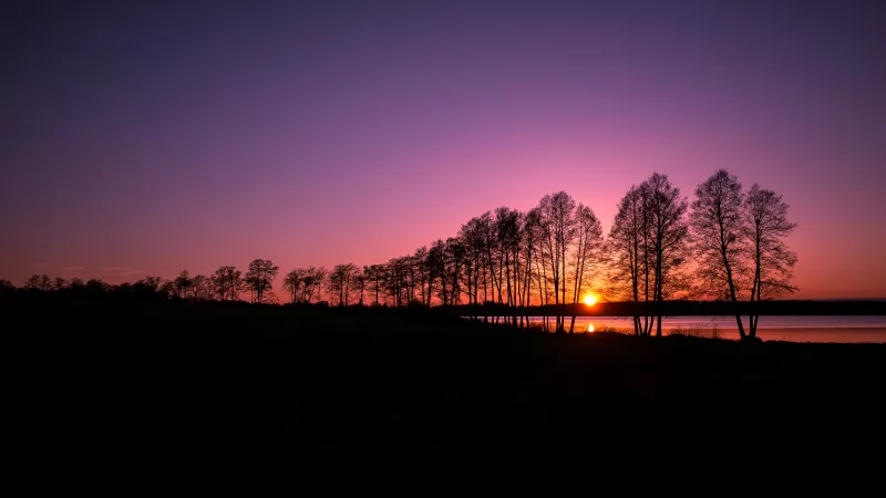 Rusutjärvi, Finland, Landscape, Sunset, Purple sky, Silhouette, Trees, Lake, Scenery, Dusk