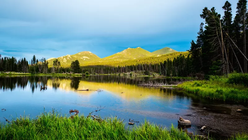 Sprague Lake, Rocky Mountain National Park, Colorado, Landscape, Green Trees, Blue Sky, Beautiful, Scenery, Reflection, 5K