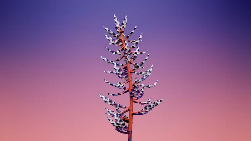 Floral, Gradient background, iOS 11, macOS Mojave, Stock, Aesthetic, 5K