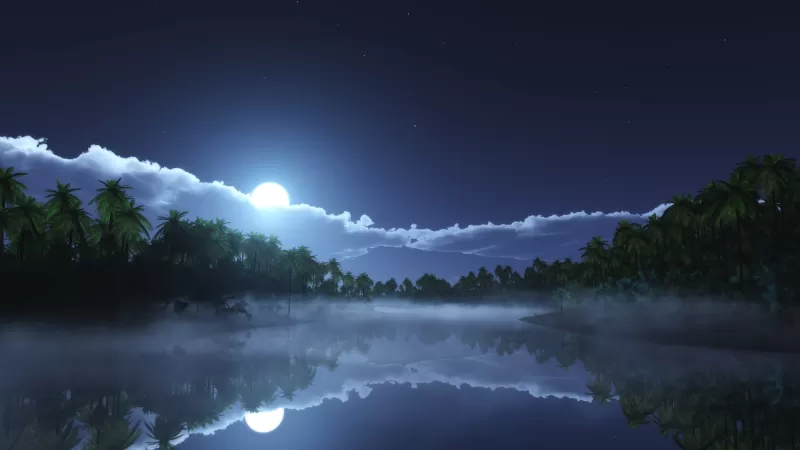 Moonlit tropical lake wallpaper, Palm trees, Misty night