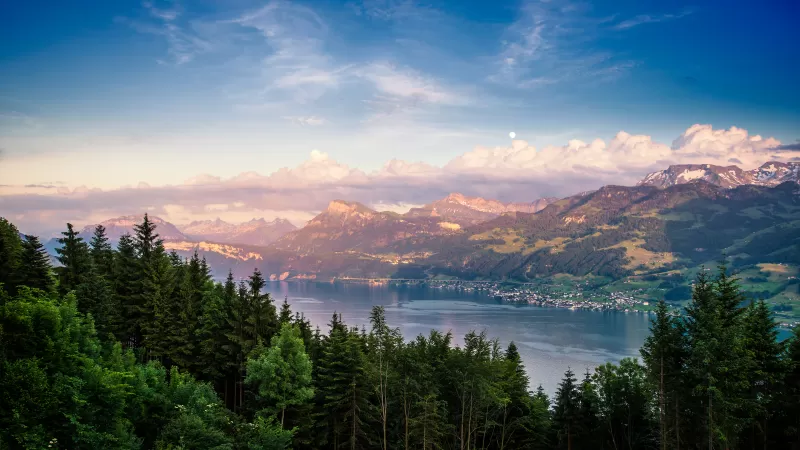 Lake Zurich, Swiss Alps view, Pine forest, 4K wallpaper