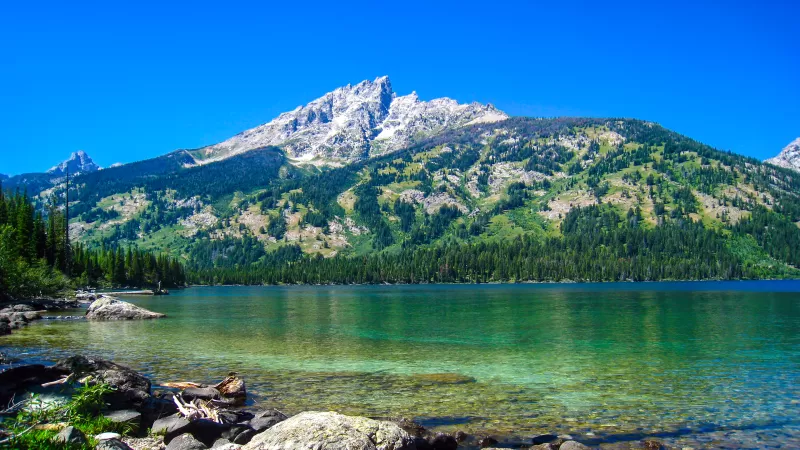 Emerald Lake, Grand Teton National Park, Wyoming, Blue Sky, Clear water, Rocks, Landscape, Scenery, Green Trees, Day time