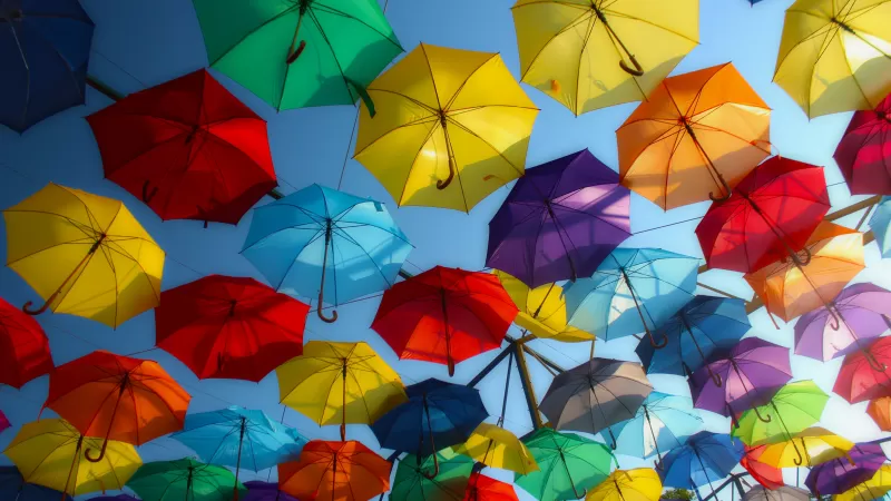 Umbrellas, Colorful, Street decoration, Multicolor, 5K