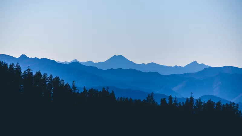 Red Buttes Wilderness, Blue mountain layers, Forest silhouette, 4K wallpaper