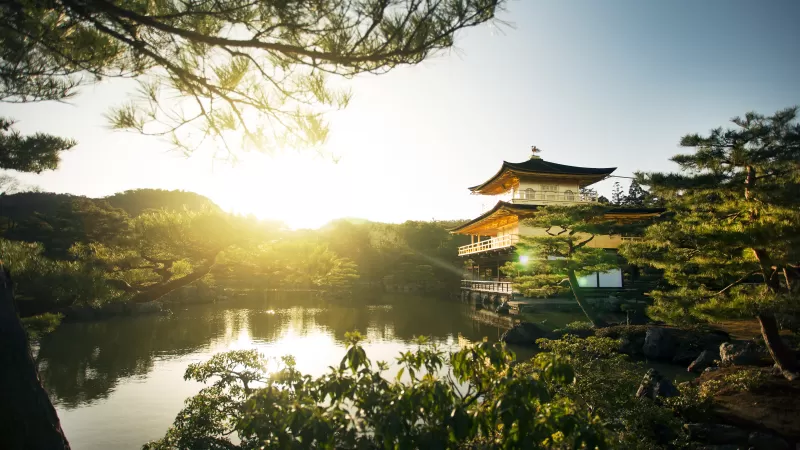 Kinkakuji Temple, Rokuon-ji, Buddhist temple, Kyoto, Japan, Sunset, Landmark, Lake, Ancient architecture, Tourist attraction, Golden temple, Green Trees, Landscape