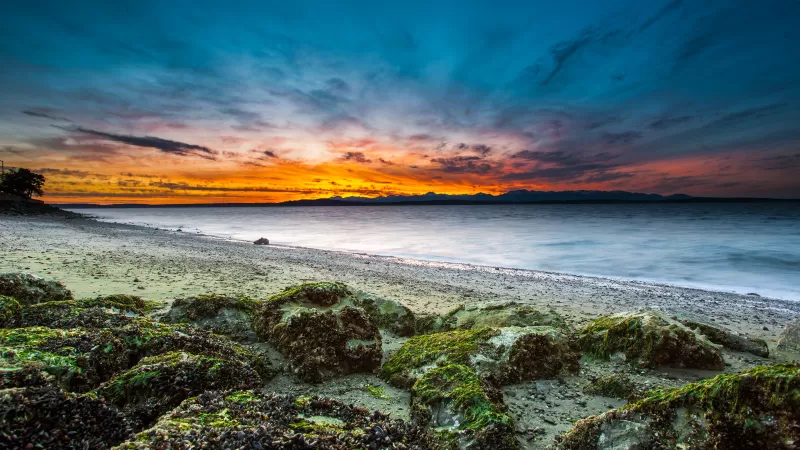Alki Beach, West Seattle, Washington, Seascape, Sunset Orange, Long exposure, Green Moss, Rocky coast, Beach, Horizon