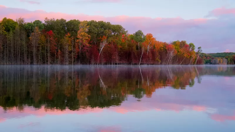 Autumn lake reflection, Misty morning, Pink sky, 4K wallpaper