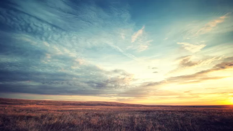 Prairie sunset, Golden grassland, Dramatic sky, 4K wallpaper