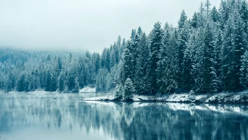 Kootenay River, Snow fall, British Columbia, Canada, Forest, Winter, Snowy Trees, Mirror Lake, Reflection, Landscape, Misty, Early Morning