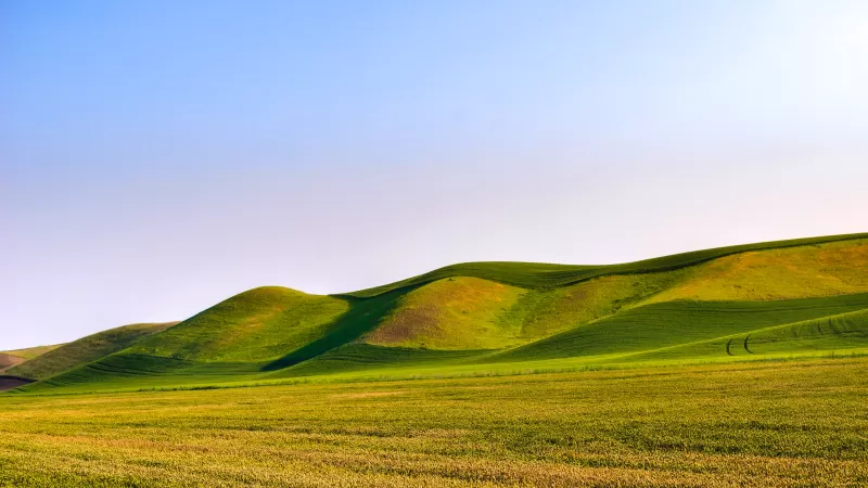 Great Field Dunes, Green Meadow, Landscape, Scenery, Beautiful, Clear sky
