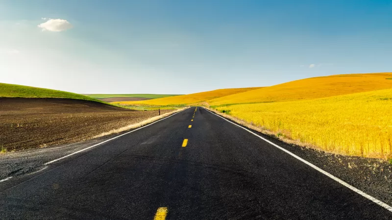 Country road wallpaper, Golden wheat fields, Blue sky