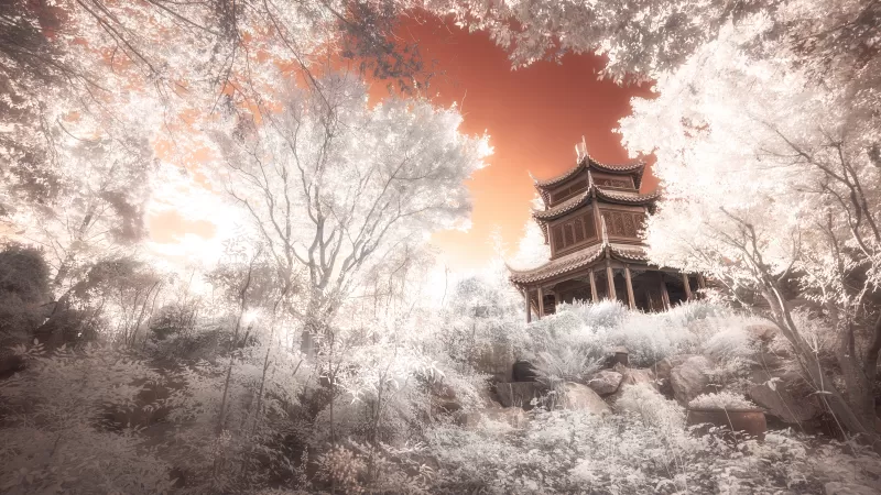 Pagoda Temple, Ancient architecture, Trees, Infrared vision, 5K wallpaper