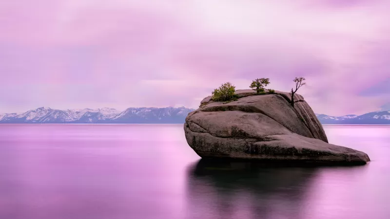 Lake Tahoe, United States of America, Pink sky, Rock, Long exposure, Mountain range, Body of Water, Pink Water, Landscape, Scenery, Shadow, 5K