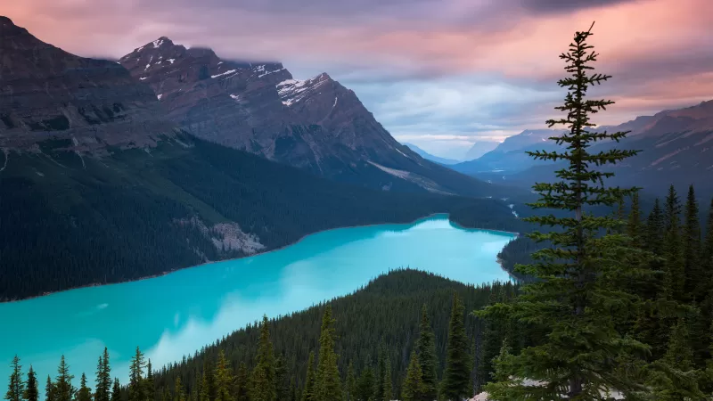 Peyto Lake, Mountains, Turquoise, Evening, Sunset, Canada
