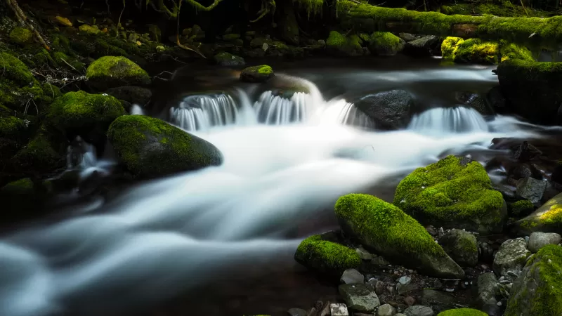 Bear Creek, Mossy rocks, Silky stream, HD wallpaper