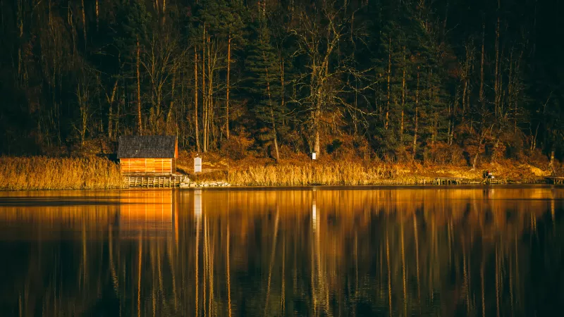 Lakeside cabin, Golden autumn forest, Reflection, 5K wallpaper