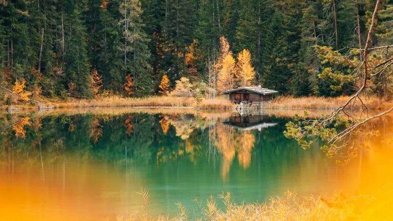 Lake house, Forest, Green Trees, Alpine trees, Reflection, Landscape, Scenery, 5K