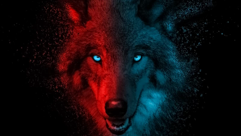 Wolf, Scary, Gradient, Dark background