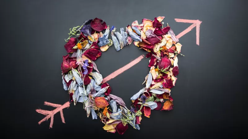 Love heart, Dark background, Flowers, Petals, Arrow, Chalkboard, 5K