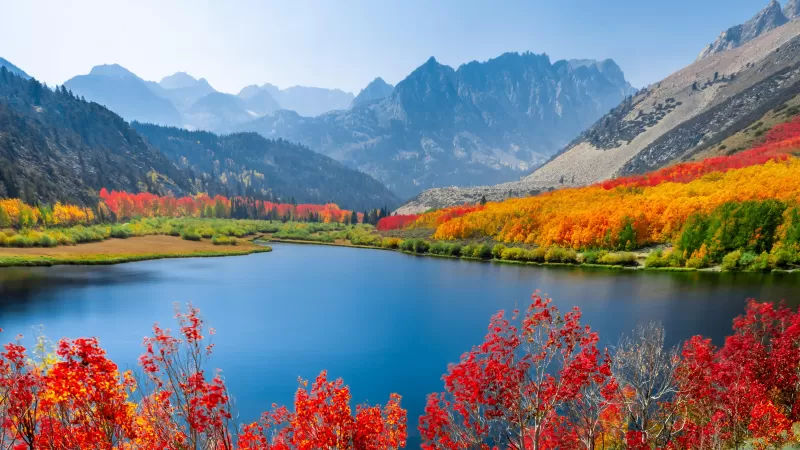 Eastern Sierra autumn lake, Red aspens, Mountain valley, 5K wallpaper