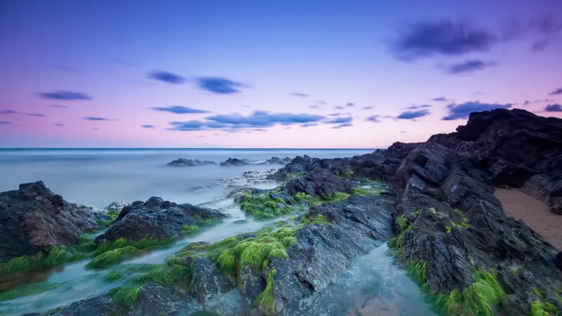 Rocky coast, Beach, Long exposure, Seascape, Horizon, Clouds, Green Moss, Evening sky