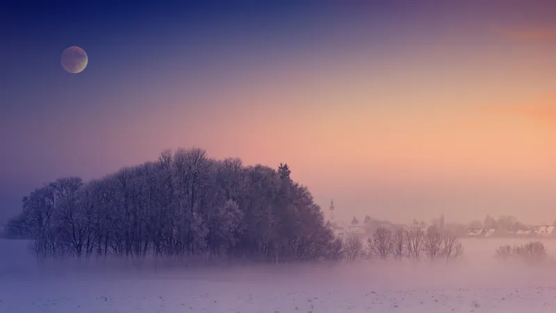 Winter, Aesthetic, Morning, Foggy, Moon, Landscape, Cold, 5K