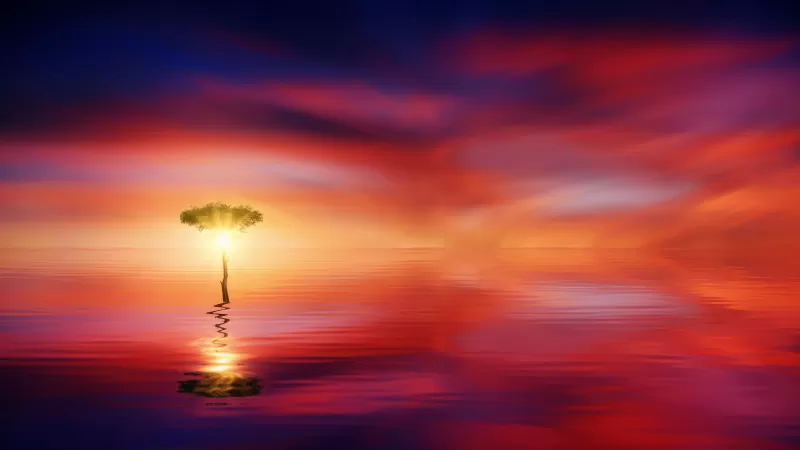 Tree, Seascape, Ocean, Sunrise, Dawn